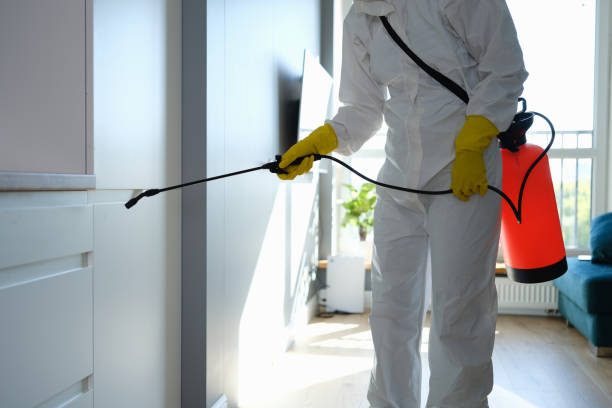 Home Mold Removal in Sebewaing, MI